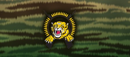 யாழ் செல்லும் படையணி (அரசியற்துறை)