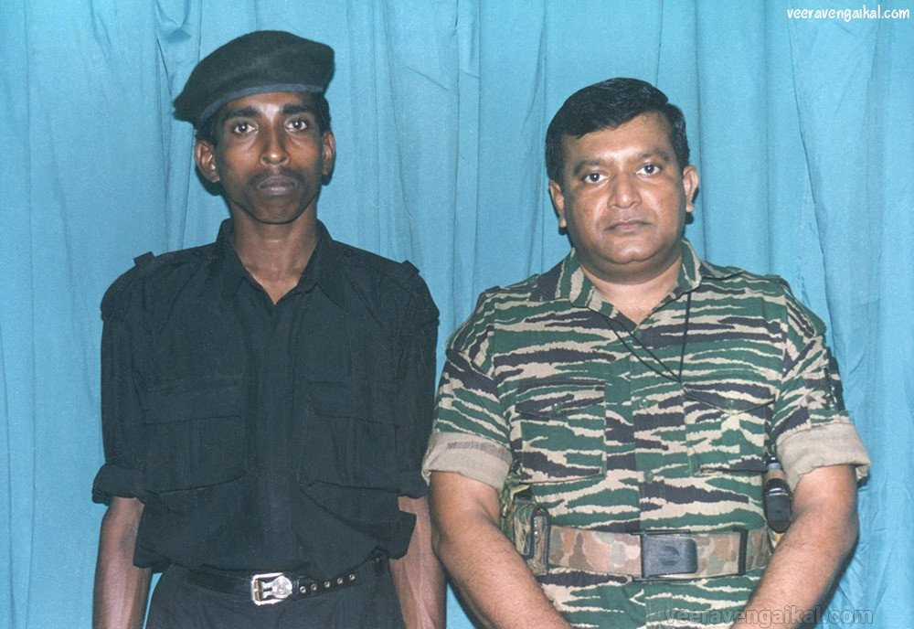 blacktigers33